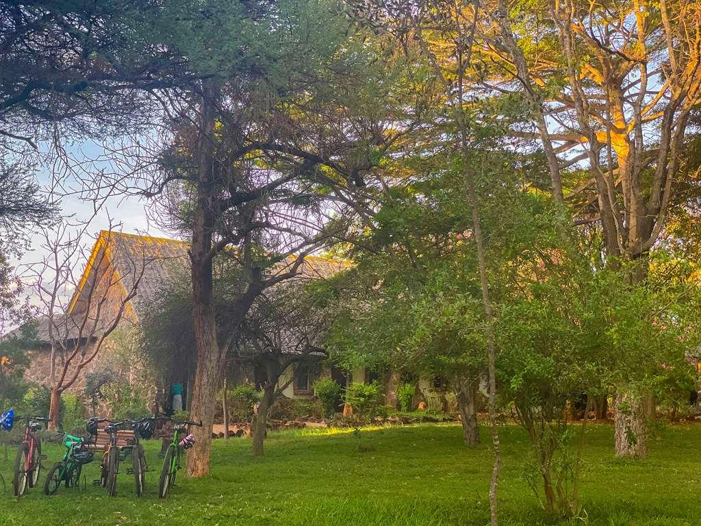Kilaguni Serena Safari Lodge Tsavo Kemudahan gambar